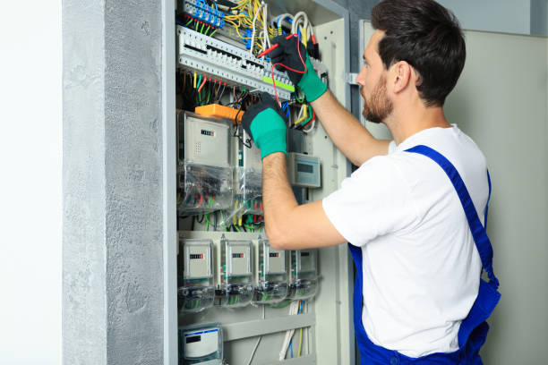 Best Residential Electrician Services  in Walnut, IL